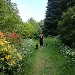 Zur Alten Post